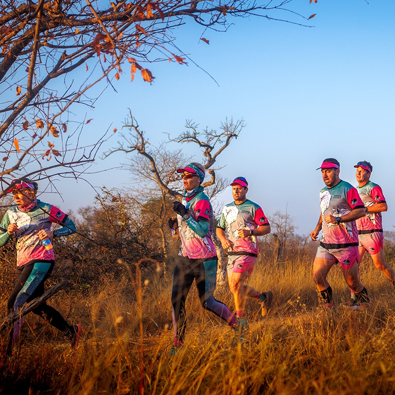 Timbavati Traverse
