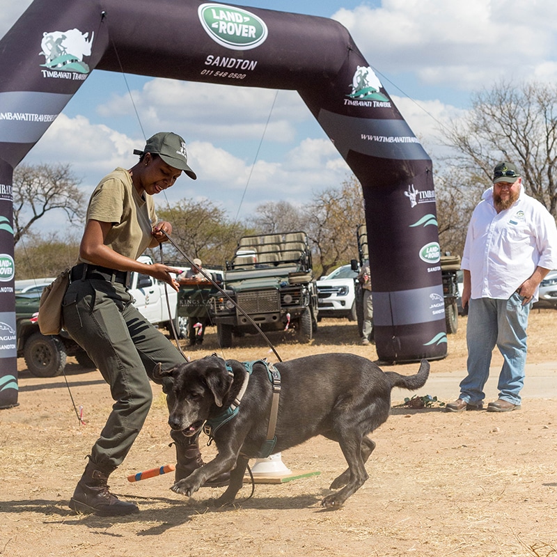 Timbavati Traverse 2022_Supported Projects